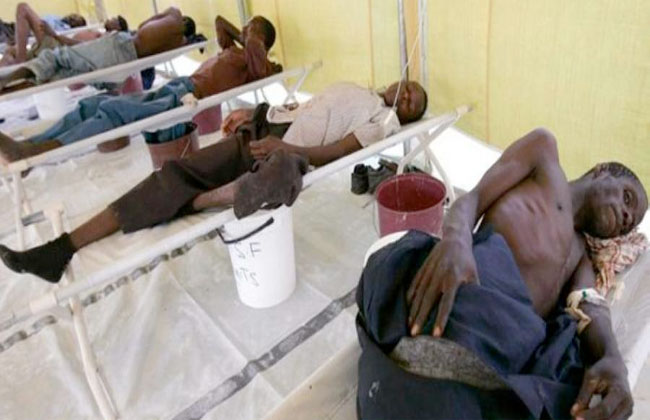 مصر تقدم معونة دوائية إلى النيجر لمكافحة الكوليرا