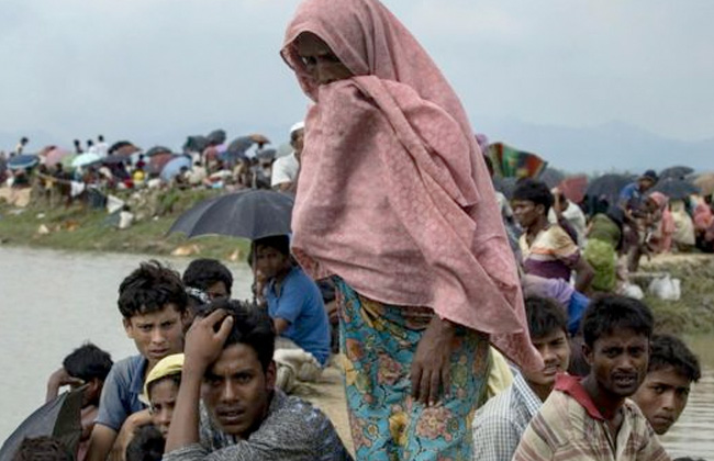 الإسلاموفوبيا يُحذر من زرع ميانمار الألغام على حدود بنجلاديش لمنع عودة الروهينجا 
