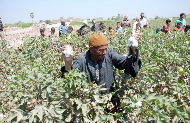 عبد المنعم البنا وزير الزراعة واستصلاح الأراضي