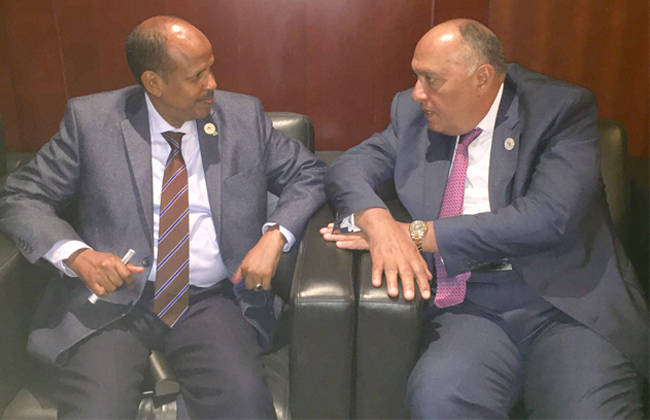وزير الخارجية يبحث التعاون الثنائي والقضايا الإقليمية مع وزير خارجية جيبوتي