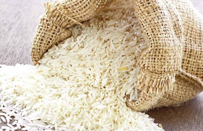 نشرة بالتوصيات الفنية لمحصول الأرز خلال شهر يونيو