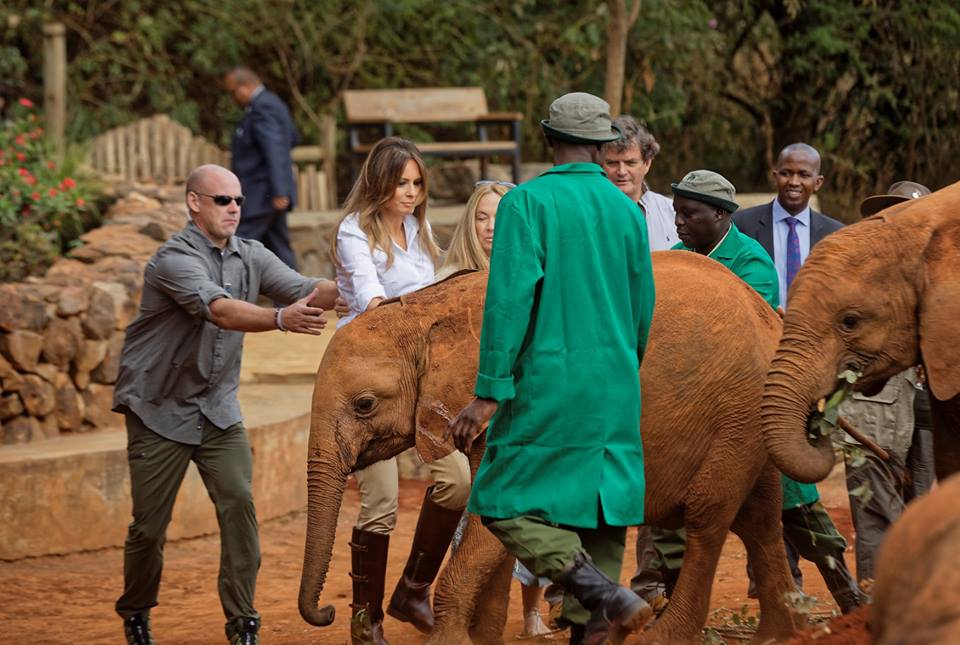 ميلانيا ترامب في متنزه ديفيد تشيلدريك فيلد لصغار الفيلة  