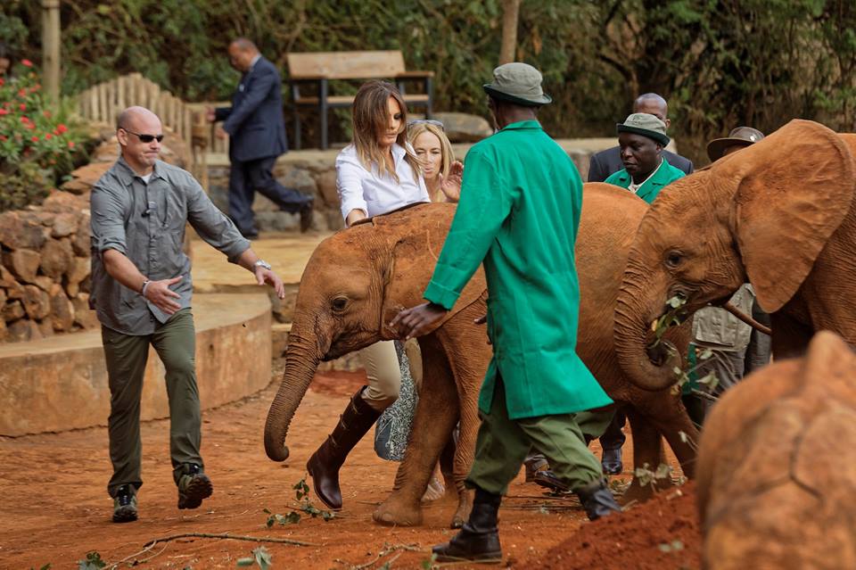 ميلانيا ترامب في متنزه ديفيد تشيلدريك فيلد لصغار الفيلة  