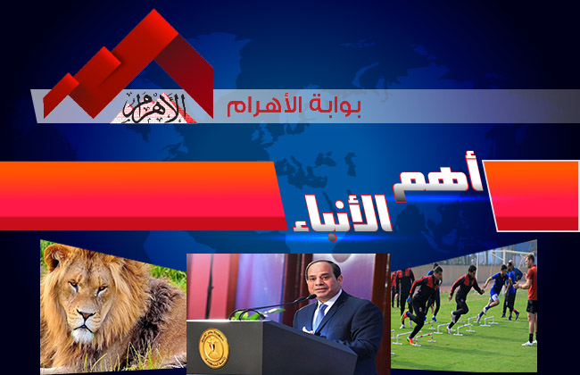 موجز لأهم الأنباء من بوابة الأهرام اليوم الإثنين  نوفمبر  | فيديو