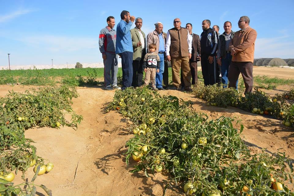 محافظ الوادي الجديد يتفقد مشروعات صناعية 