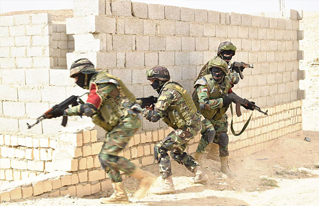 مرصد الإفتاء يشيد ببسالة القوات المسلحة في تطهير سيناء من الإرهاب