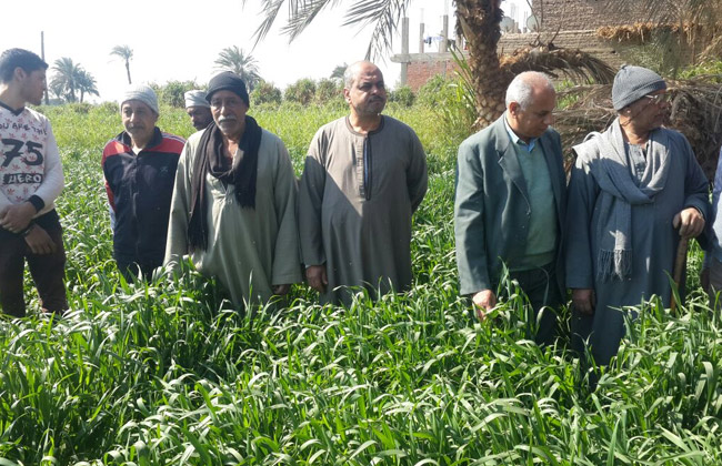 قافلة إرشادية من «زراعة عين شمس بمحافظة القليوبية 