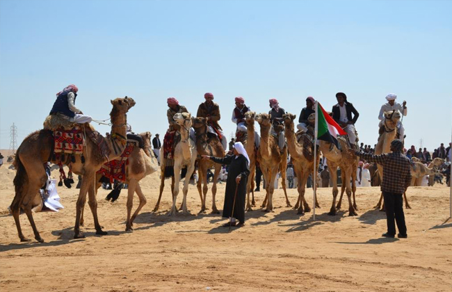 انطلاق فعاليات مهرجان الإسماعيلية لسباقات الهجن السابع عشر | صور