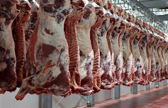   أسعار اللحوم اليوم الإثنين  أكتوبر 