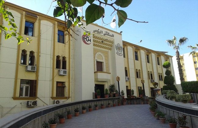 مدير مستشفى المنصورة الجامعي تعاطفنا مع النائب عجينة لملازمته حالة تعاني ورم بالمخ 