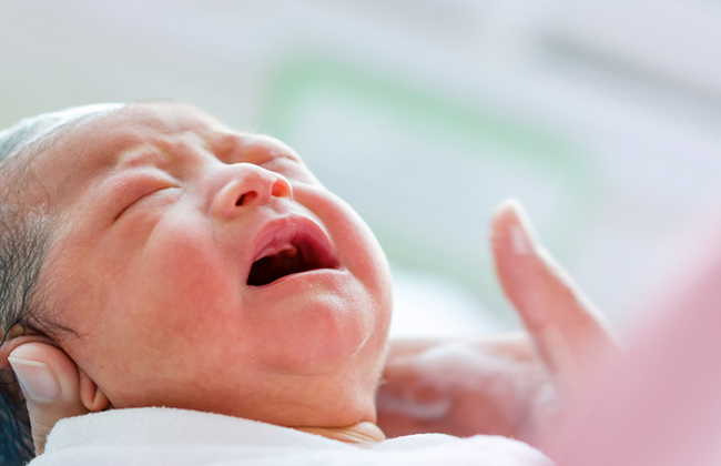 الأمم المتحدة: الرضاعة الطبيعية بعد الولادة مباشرة قد تنقذ حياة الأطفال حديثي  الولادة - بوابة الأهرام
