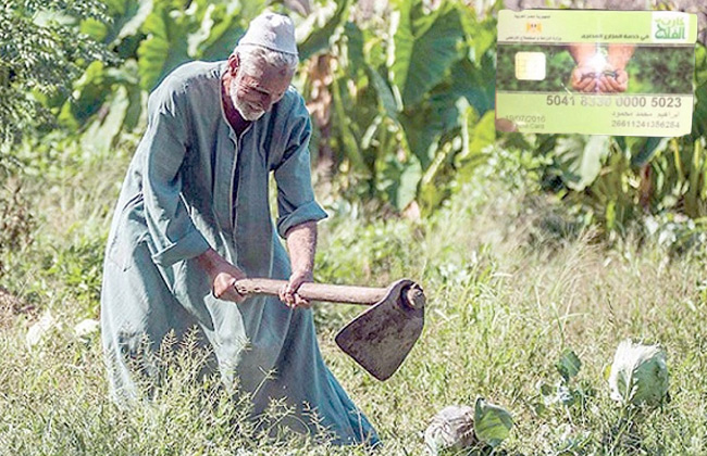 زراعة المنوفية تسجيل  ألفا و مزارعين بمنظومة كارت الفلاح