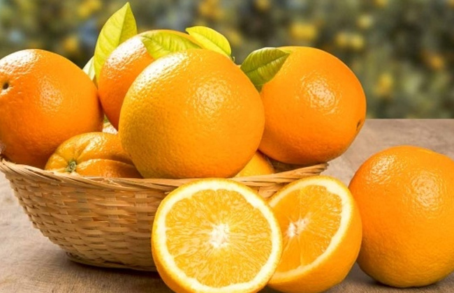 بوابة الأهرام تكشف أسباب التراجع الكبير فى أسعار البرتقال؟ والمزارعون: آلاف  الأطنان تعرضت للتلف - بوابة الأهرام