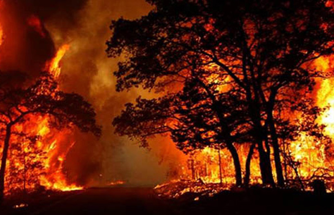 إجلاء نحو  آلاف شخص بسبب حرائق الغابات بجنوب كاليفورنيا