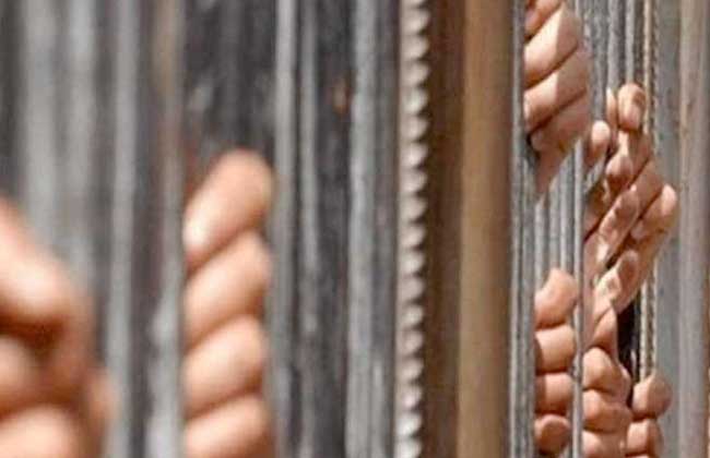 اليوم الجنايات تستكمل محاكمة المتهمين في قضية كتائب حلوان 