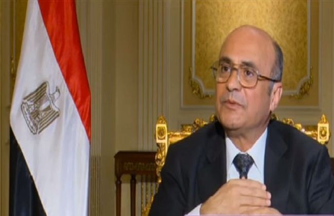 وزير شئون النواب الأشقاء العرب دعموا مصر بملف حقوق الإنسان باستثناء قطر | فيديو