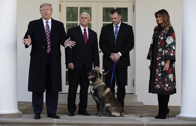 منحه ميدالية ولوحة تذكارية ترامب يكرم الكلب كونان لدوره في مقتل البغدادي | فيديو وصور