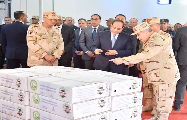 الرئيس السيسي ما نقوم به ليلا ونهارا للحفاظ على الدولة المصرية من السقوط