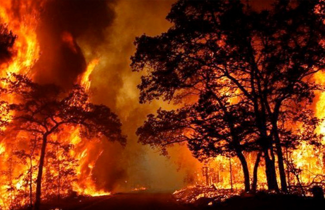أستراليا تستعد لموجة حارة جديدة واستمرار الحرائق في نيو ساوث ويلز
