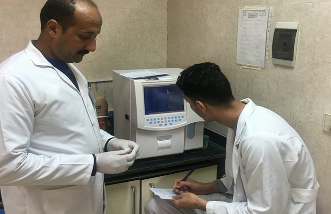 تطوير ودعم معمل مستشفى طور سيناء العام بأحدث أجهزة التحاليل الطبية | صور -  بوابة الأهرام