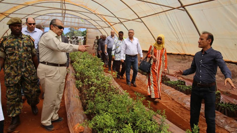 وزير الزراعة يفتتح المرحلة الأولى من المزرعة المصرية المشتركة بالطاقة الشمسية