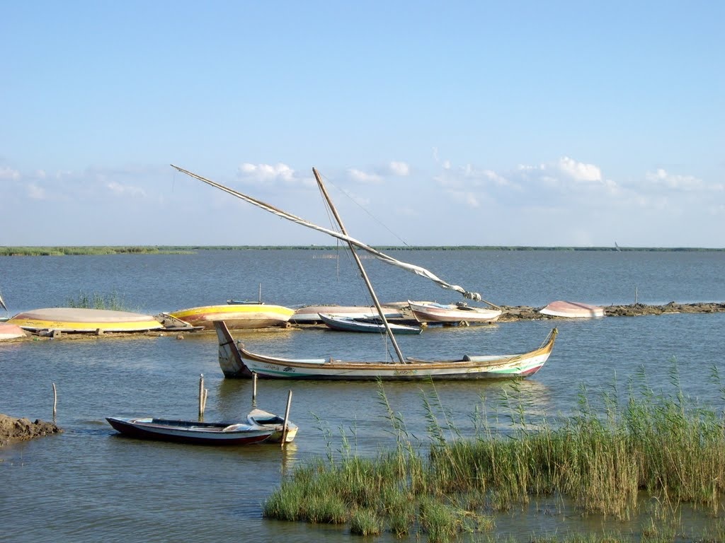 بحيرة البرلس مصدر الثروة السمكية وصناعة مراكب الصيد| صور  