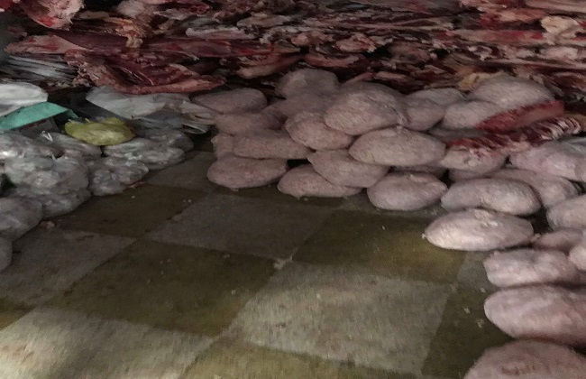 ضبط كمية من اللحوم المذبوحة خارج السلخانة بمركز أجا | صور 