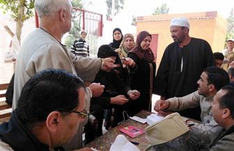   أمين-الحركة-الوطنية-بالمنوفية-محافظتنا-ستسجل-أعلى-نسبة-مشاركة-في-الاستفتاء