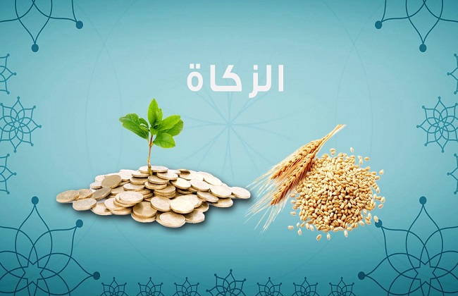 أحمد كريمة يكشف كيفية حساب إخراج زكاة المال - بوابة الأهرام