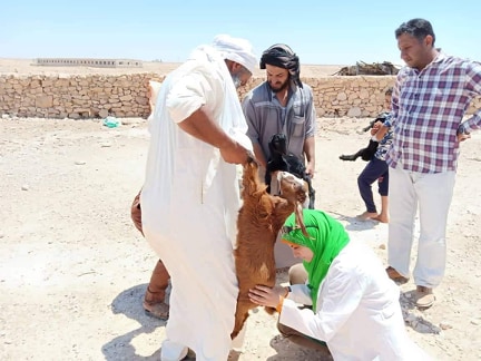 قافلة بيطرية بمطروح