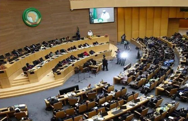 الاتحاد الإفريقي يعرب عن قلقه إزاء تدخل خارجي محتمل في ليبيا