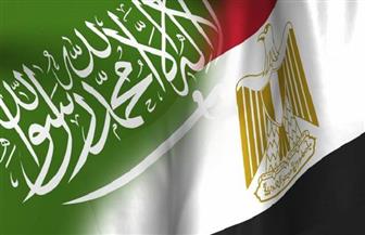 محلل سياسي سعودي مصر والمملكة لهما آراء واضحة تجاه القضايا العربية