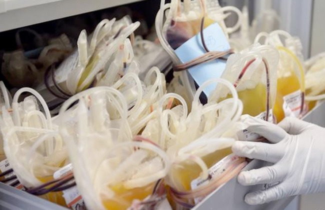 مجلس الوزراء يوافق على قانون تنظيم عمليات الدم وتجميع البلازما لتصنيع مشتقاتها وتصديرها