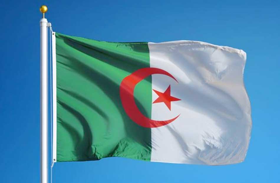 الجزائر  براءة شقيق بوتفليقة وآخرين من تهمة التآمر على سلطة الدولة والجيش