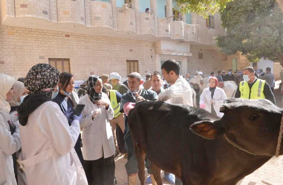 جانب من حملة جامعة اسيوط