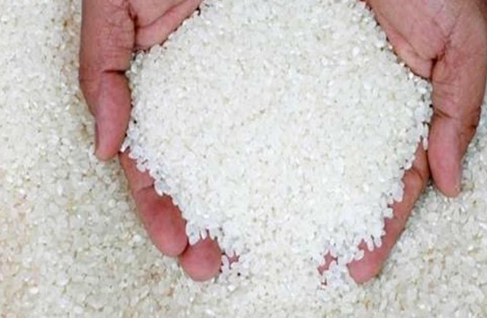 ;عرابى ;  يحقق الاكتفاء من الأرز بـ  من مياه الرى