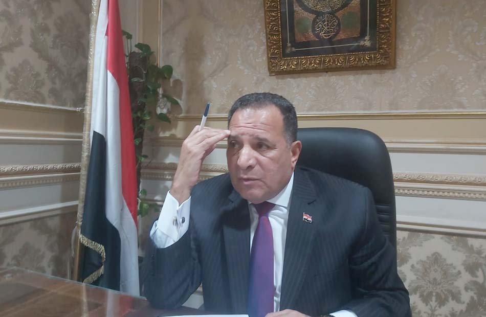 برلماني يطالب بضم بنك الاستثمار القومي إلى صندوق مصر السيادي