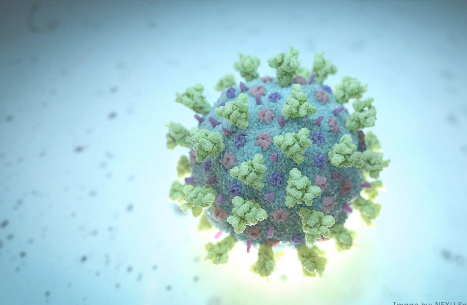 الجزائر تعلن تسجيل أول حالتين للسلالة المتحورة من فيروس كورونا