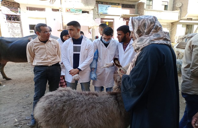 جامعة سوهاج تطلق قوافلها البيطرية الأسبوعية لقرية الرويهيب بمركز المنشاة | صور 