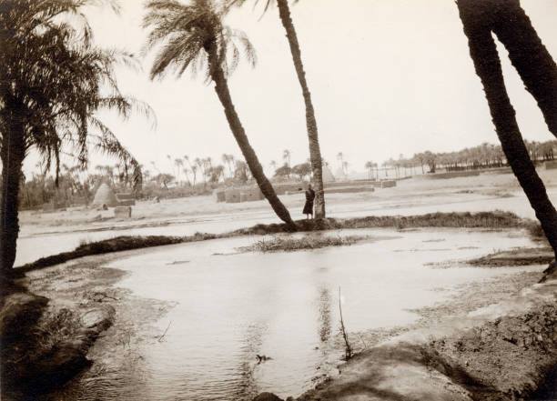 قصة الطبيب سمعان بطرس نجار