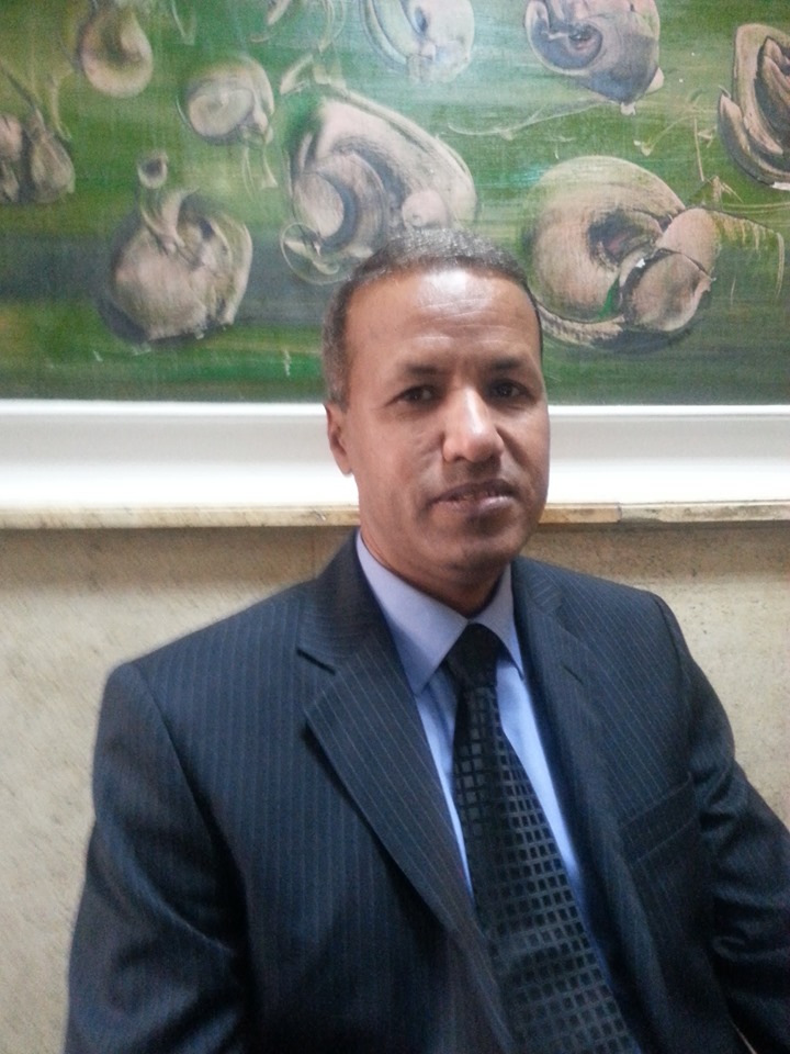 الدكتور محمود عبده نورالدين، رئيس قسم التاريخ الإسلامي، بكلية اللغة العربية، بجامعة الأزهر
