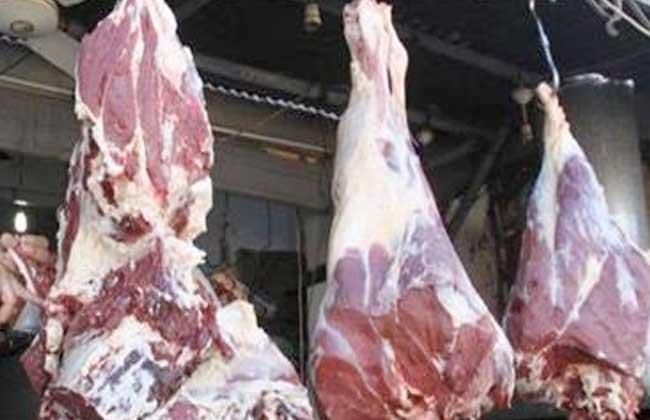 قبل العيد اكتشف بنفسك اللحوم الطازجة من لحم ;الحمير والكلاب;