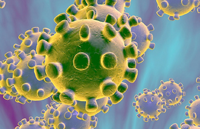 استبيان بأكاديمية البحث العلمي  يعتقدون أن تفشي فيروس كورونا سببه انتقال الوباء من الحيوان إلى الإنسان 