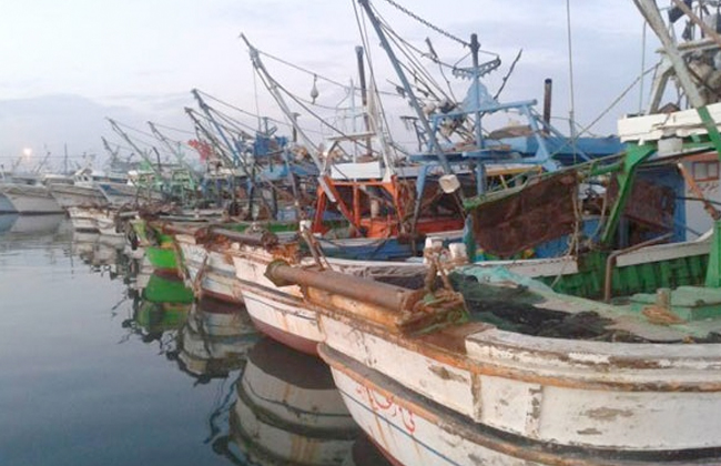 محافظ البحر الأحمر يعلن تأجيل قرار وقف الصيد والسماح بإعادة السروح لمدة أسبوعين 