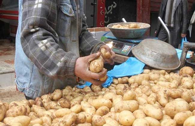 نقيب الفلاحين يكشف السر وراء انخفاض أسعار البطاطس