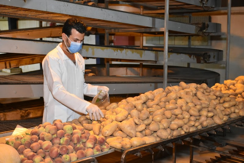 مبادرة لتقديم مواد غذائية للعمالة غير المنتظمة المتضررة من كورونا بالشرقية | صور