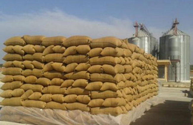 وزيرة التخطيط رفع نِسَبْ الاكتفاء الذاتي من القمح إلى  بحلول عام 