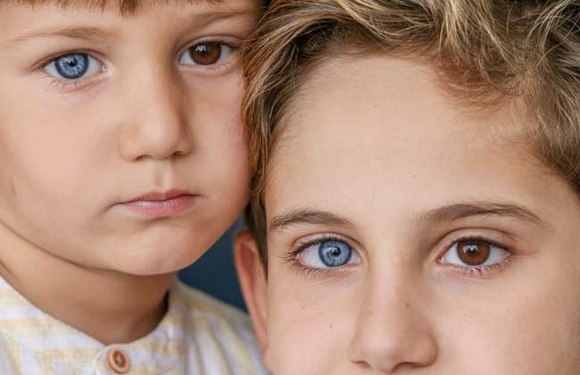 سبب اختلاف لون العيون واللون الأكثر شيوعا في العالم - بوابة الأهرام