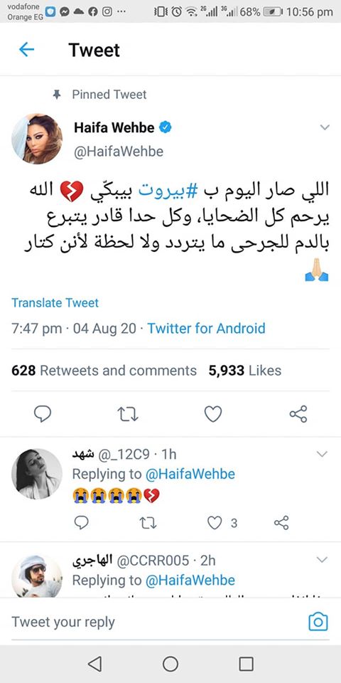 هيفاء وهبي 