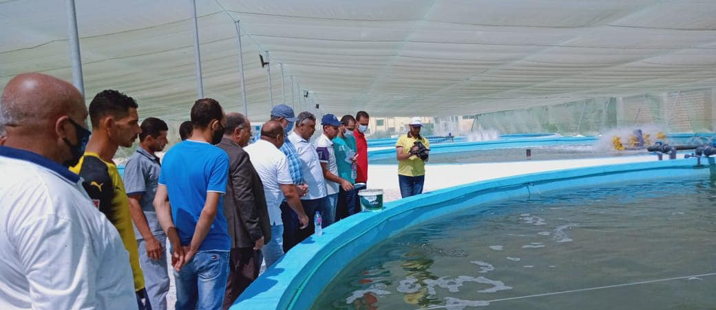 جانب من جولة وزير الزراعة لبعض المشروعات الزراعية بالإسكندرية والبحيرة